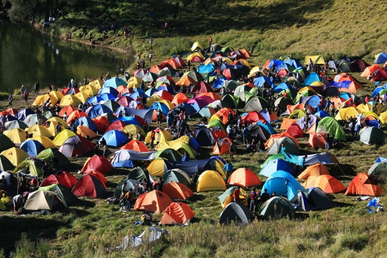 Our Festival Survival Guide
