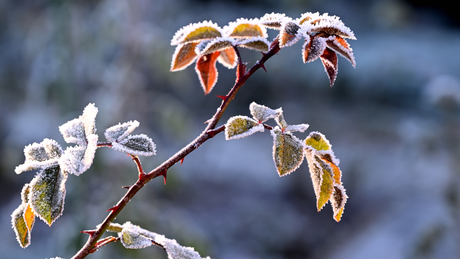 Don’t Ignore It, Store It: How to Protect Outdoor Gear During Winter Storage