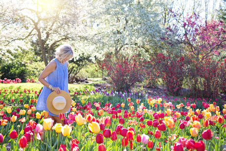 Unmissable Garden and Flower Shows Across the UK this Summer