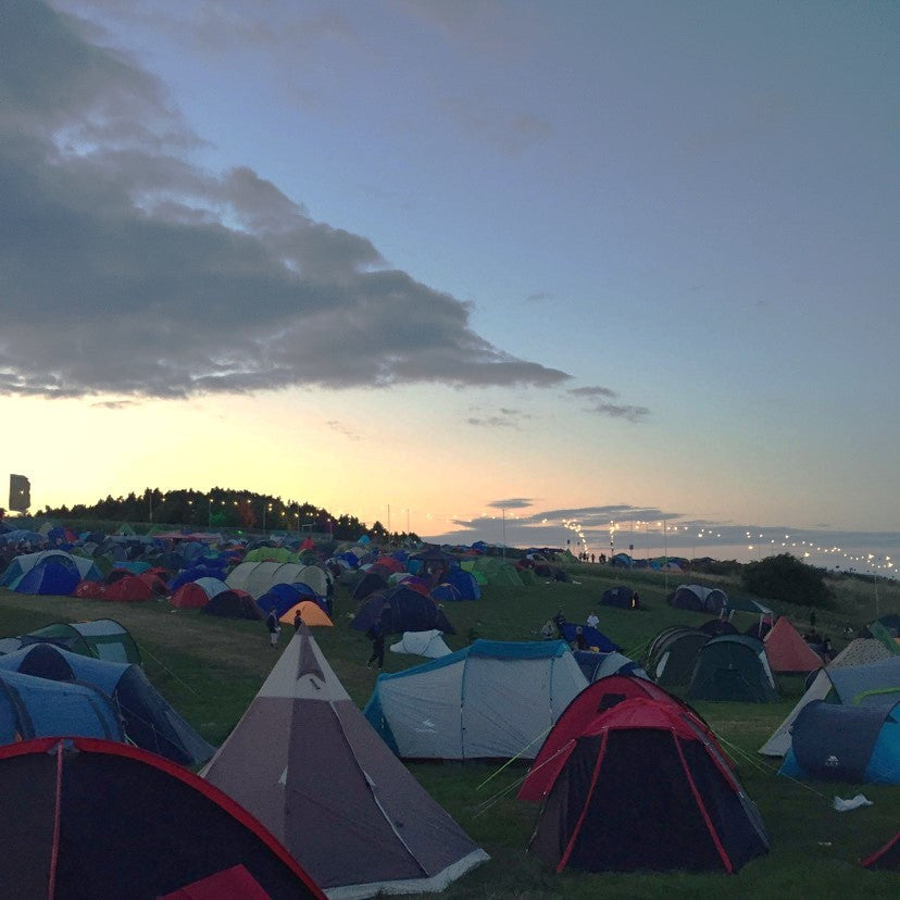 Festival Aftercare with Fabsil