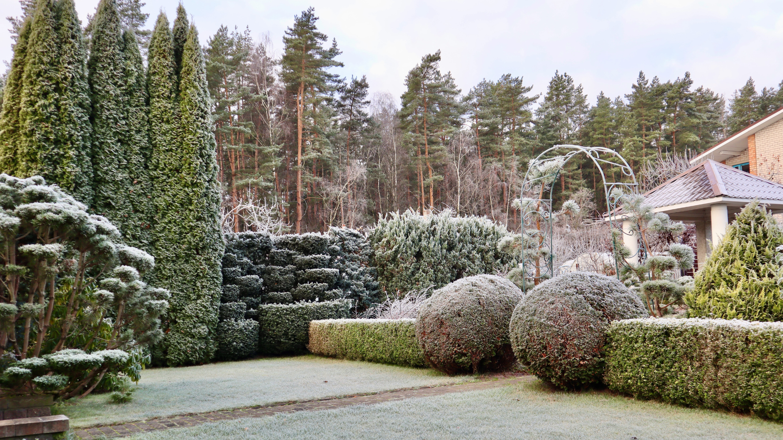 Glow Up Your Garden This New Year